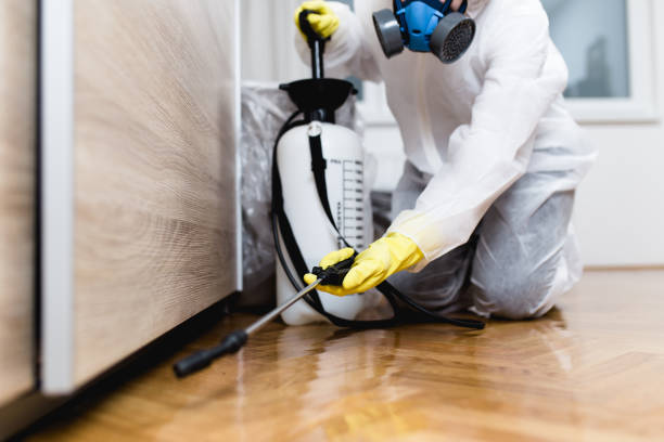 Best Emergency Pest Control  in Camden, NJ