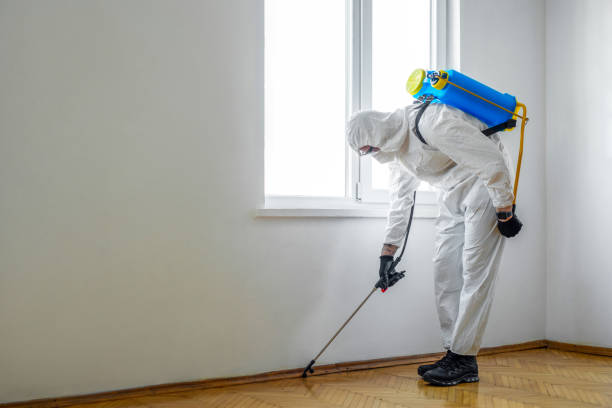 Best Affordable Pest Control Services  in Camden, NJ
