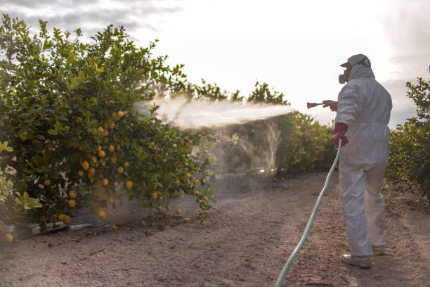 Best Pest Removal Services  in Camden, NJ