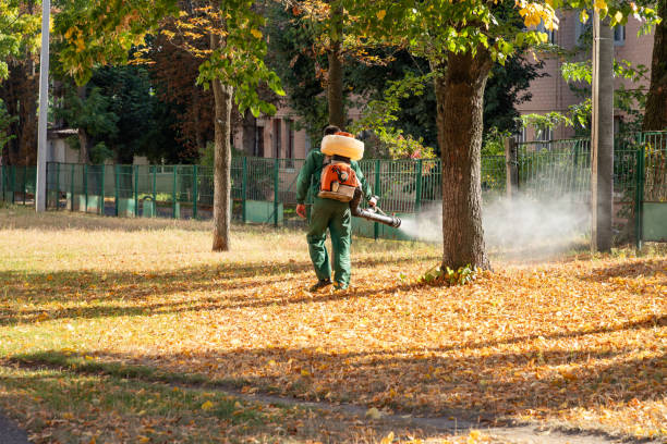 Best Cockroach Control Services  in Camden, NJ