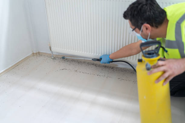 Best Pest Removal Services  in Camden, NJ