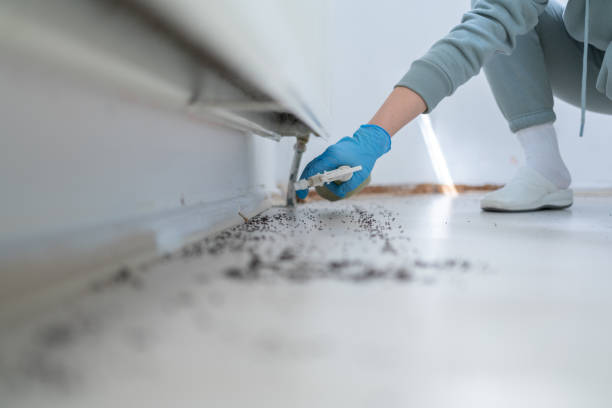 Best Pest Control Near Me  in Camden, NJ